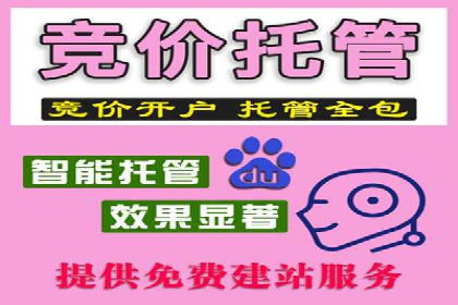 谷歌SEM案例分析：优化广告效果策略